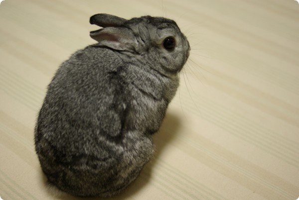 ふむ♪