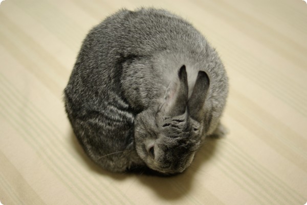 まる♪