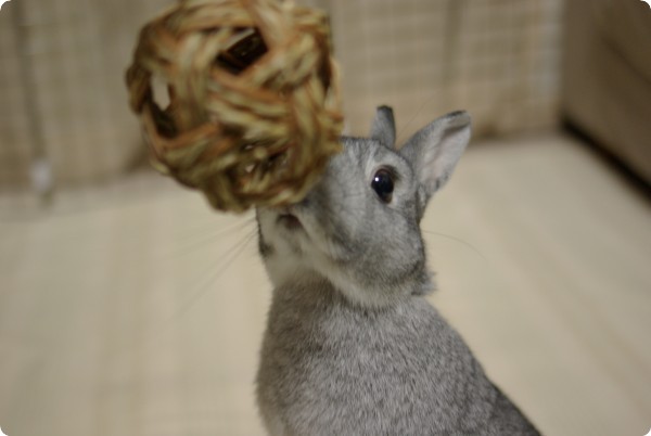 つん♪