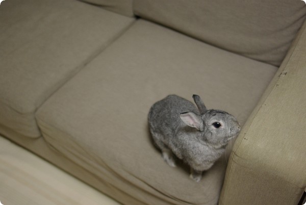 もぞもぞ