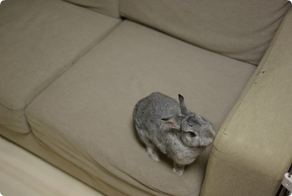 ごそごそ