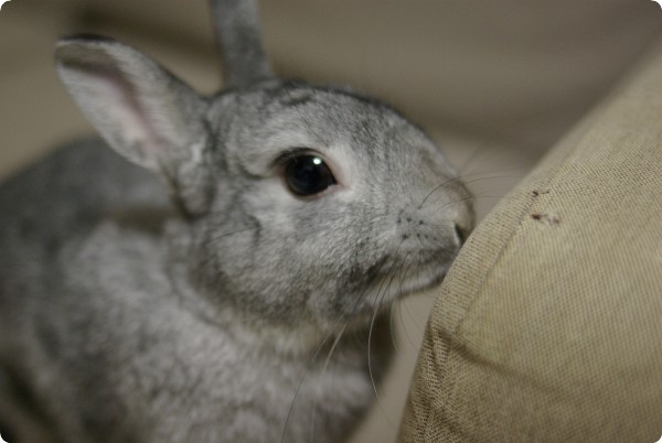 ふんふん♪