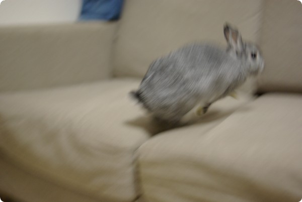 えいっ!