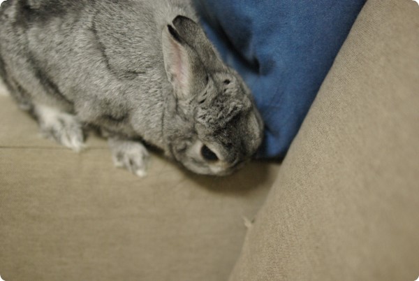 ふむふむ