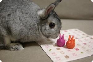 ふむふむ♪