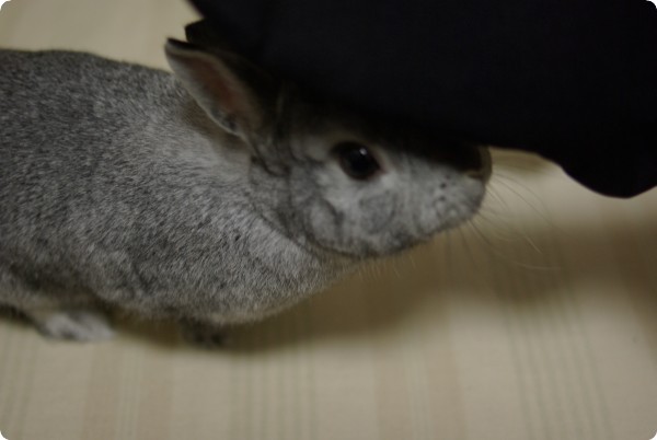 もぞもぞ♪
