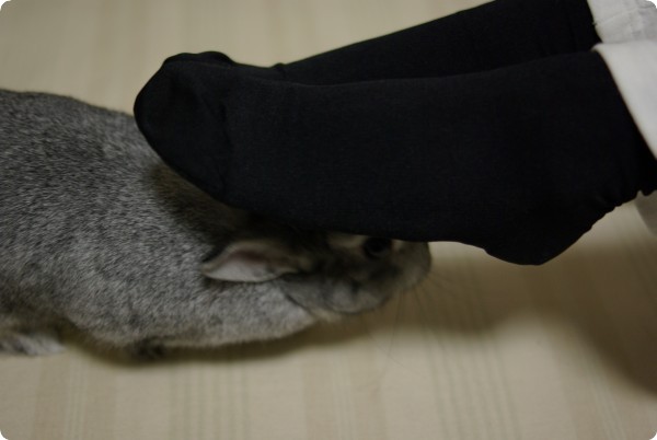 もぞもぞ♪