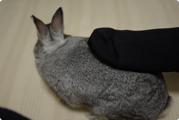 ふにゅ♪