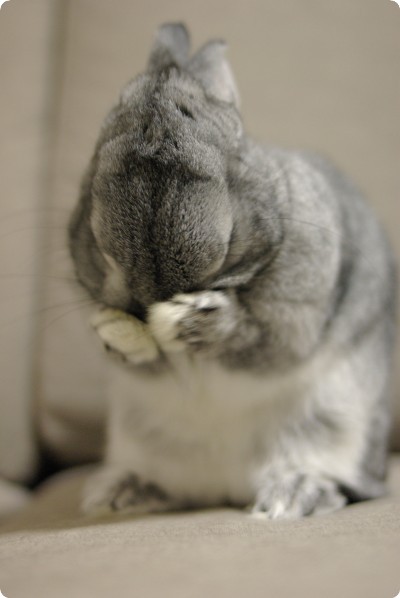 もにゅ♪