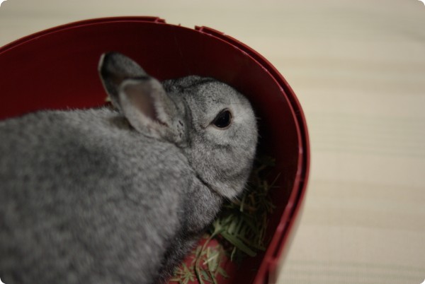 ふんふん♪