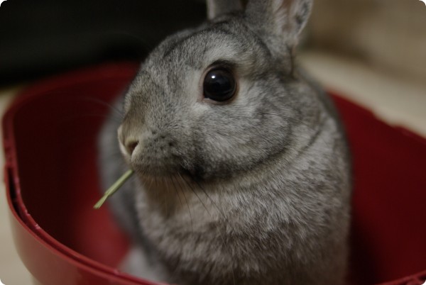 むぐむぐ♪