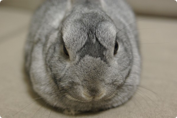 む〜ん♪
