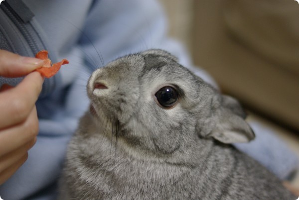 ぽりぽり