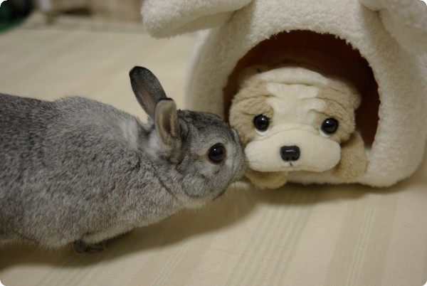 つん