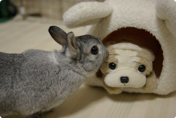 ふんふん