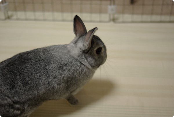 う〜ん
