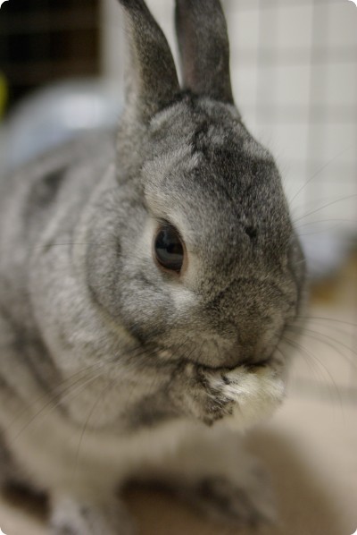 ふきふき♪