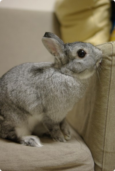 ふんふん