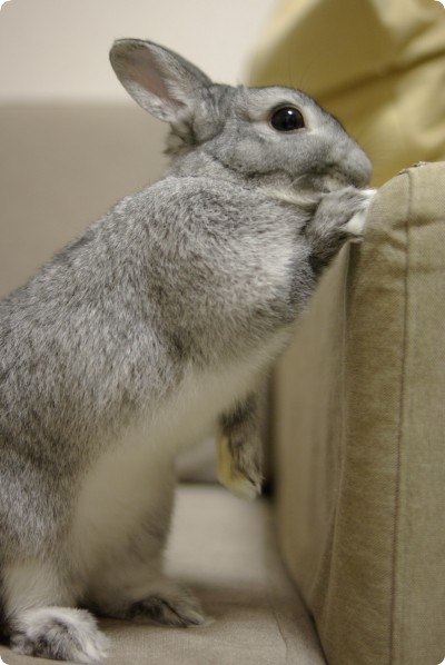 ふんふん