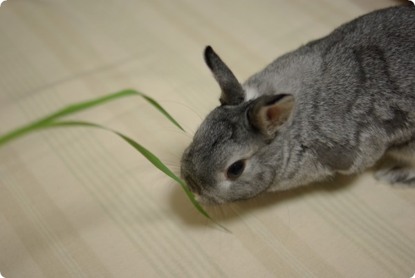 ふんふん♪