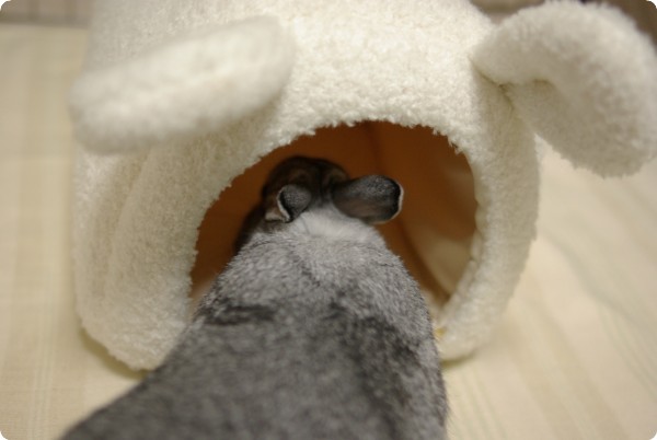 ごそごそ