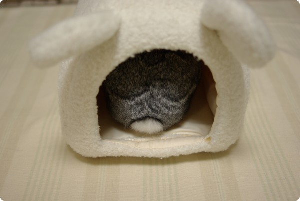 ちんまり
