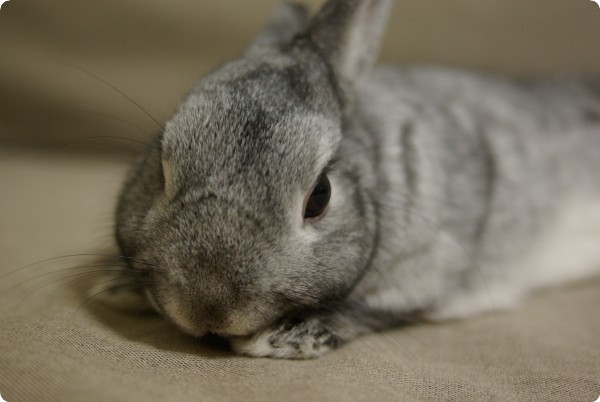 ふむふむ