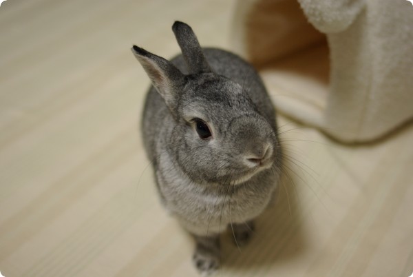 ん?