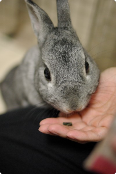 ふんふん♪