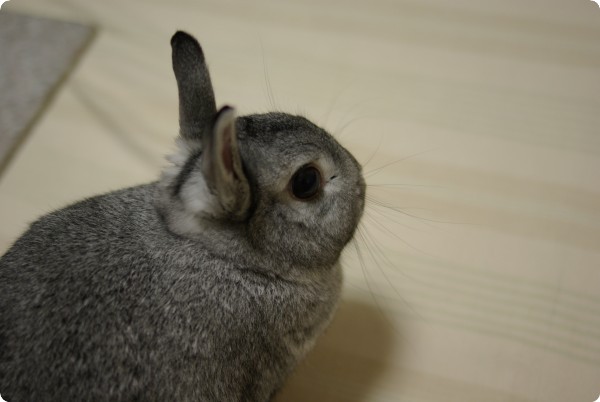 ふふ〜ん♪
