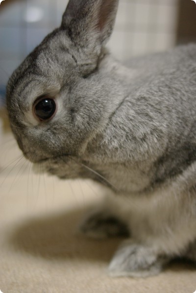 ん〜