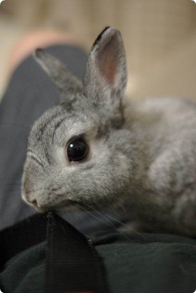ふんふん