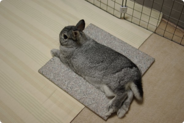 マナの川