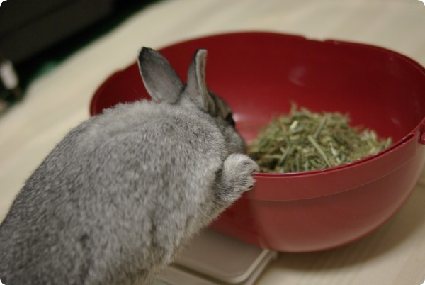 ごそごそ