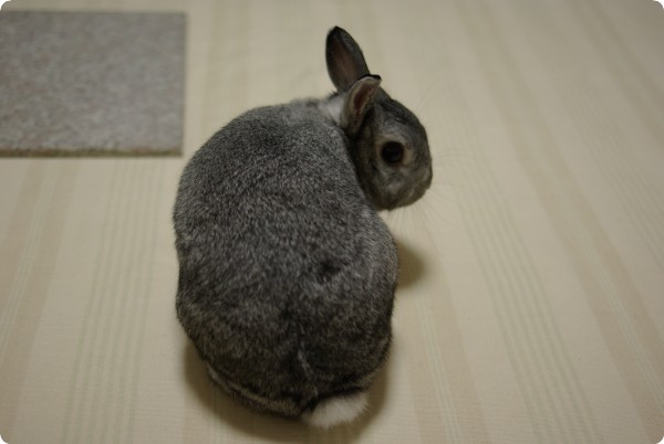 いくよ〜
