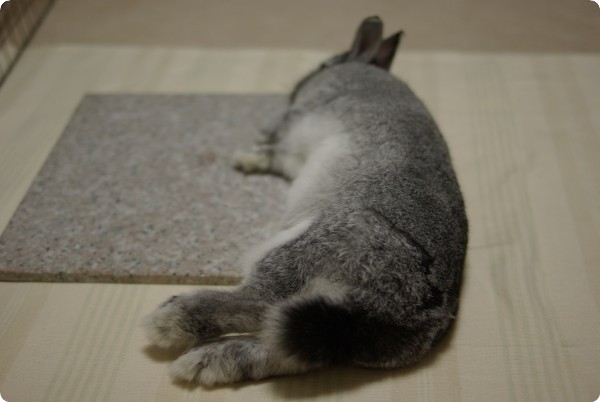 うりゃっ