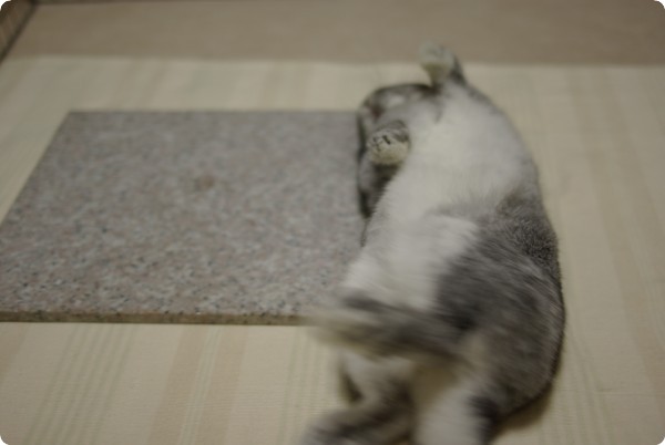 ぐにゃ〜ん