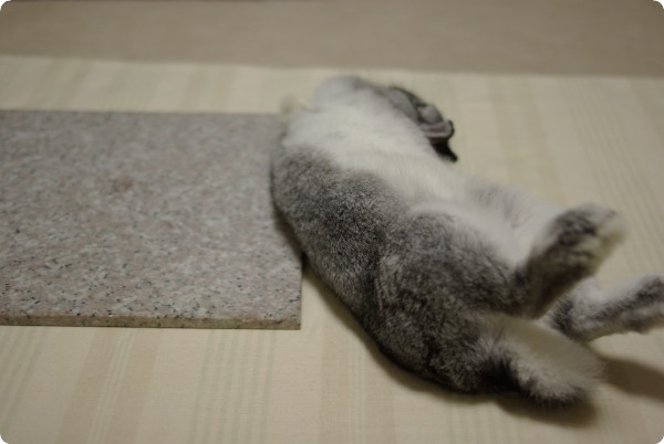 むぎゅ〜っ