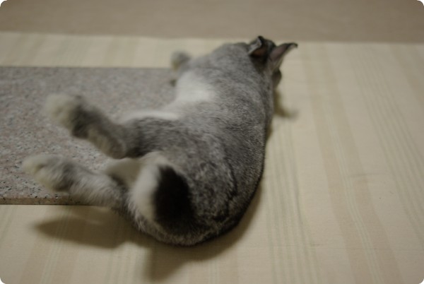 うりゃ〜っ