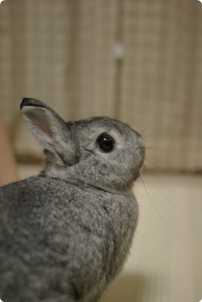 む〜