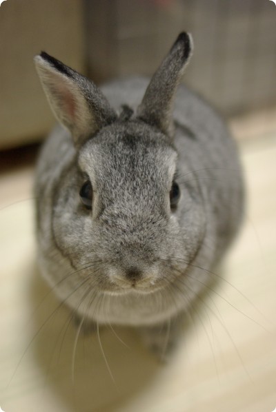 う〜ん