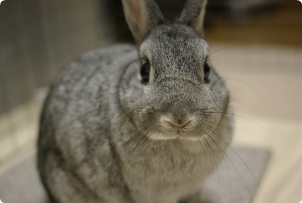 きれいになります!