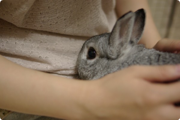 ……。