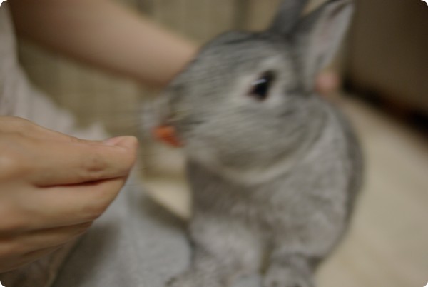 うりゃ〜!