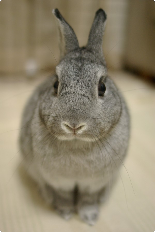 ん?