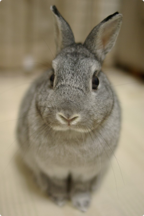 むう♪