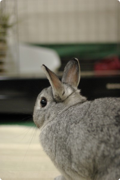 ずん