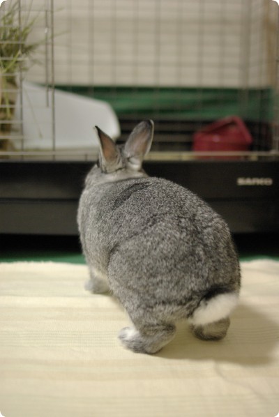 ずんずん