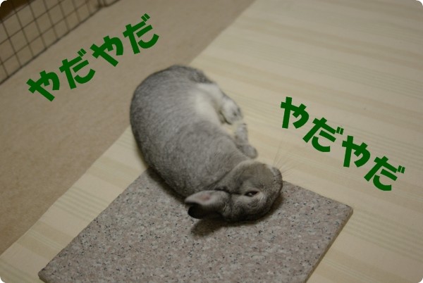 ごろごろごろごろ