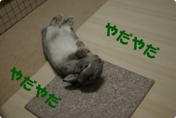 じたばたじたばた